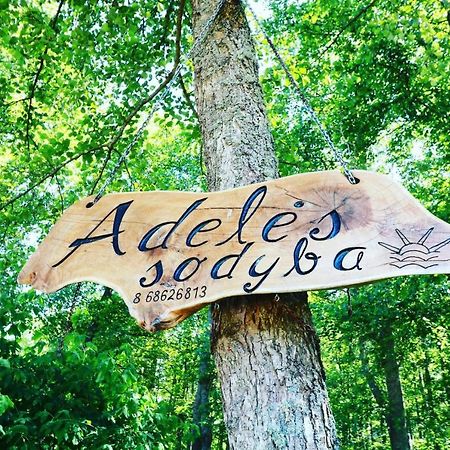 Namelis Nr 2 Adeles Sodyba Muize Buitenkant foto