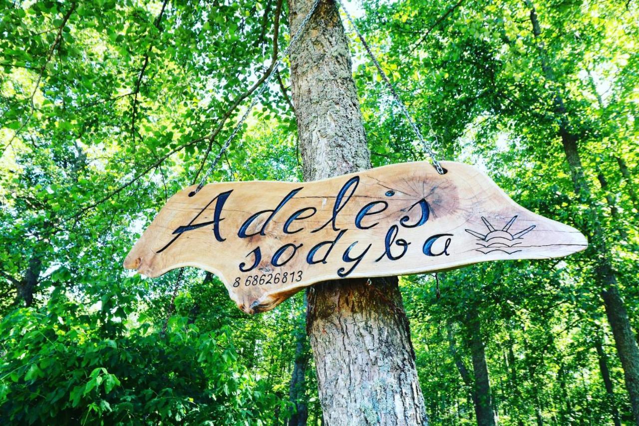 Namelis Nr 2 Adeles Sodyba Muize Buitenkant foto